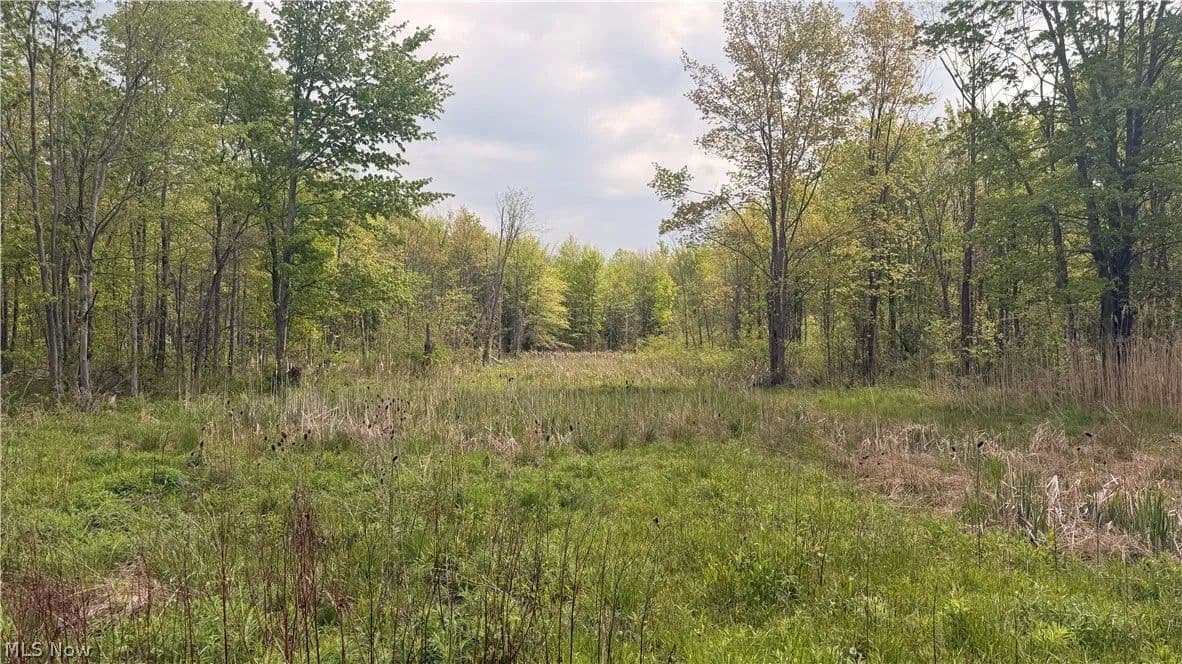 52 Acres of Land for Sale in Ashtabula, Ohio - Ashtabula, Ohio, 44004