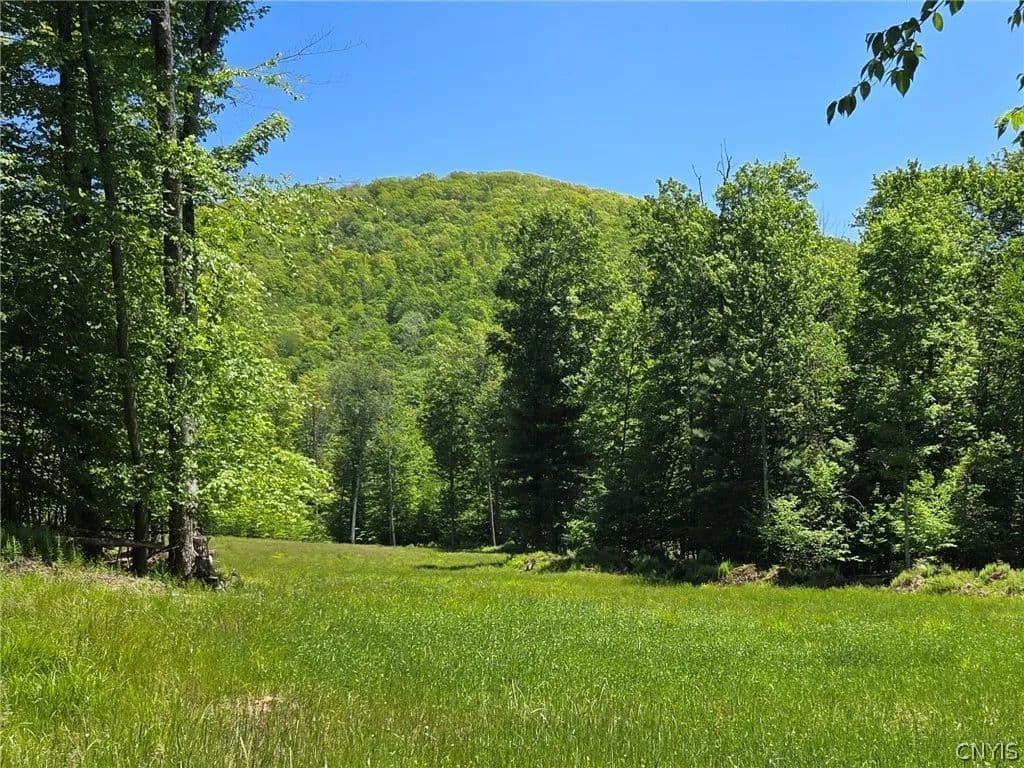 267 Acres of Land for Sale in Olean, NY - Olean, New York, 14760