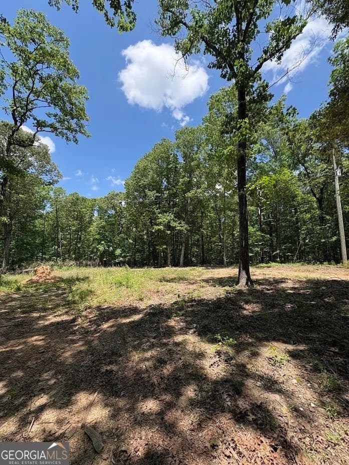 Property from 4492 U.S. 78 - KW - land for sale