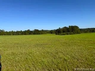 Vacant Land in Opp - Opp, Alabama, 36467