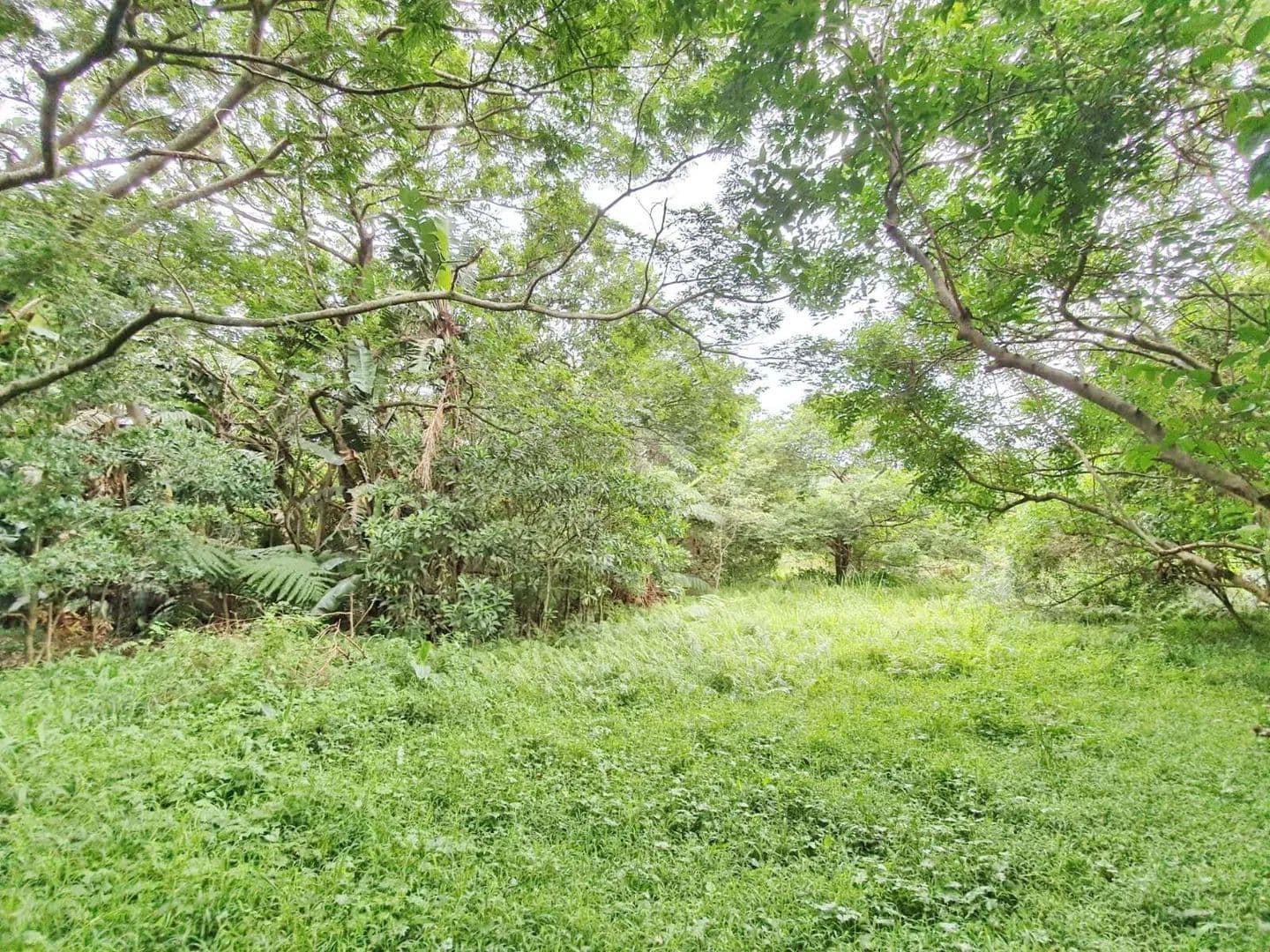 1745 Acres of Land for Sale in Ballito, KwaZulu Natal - land for sale