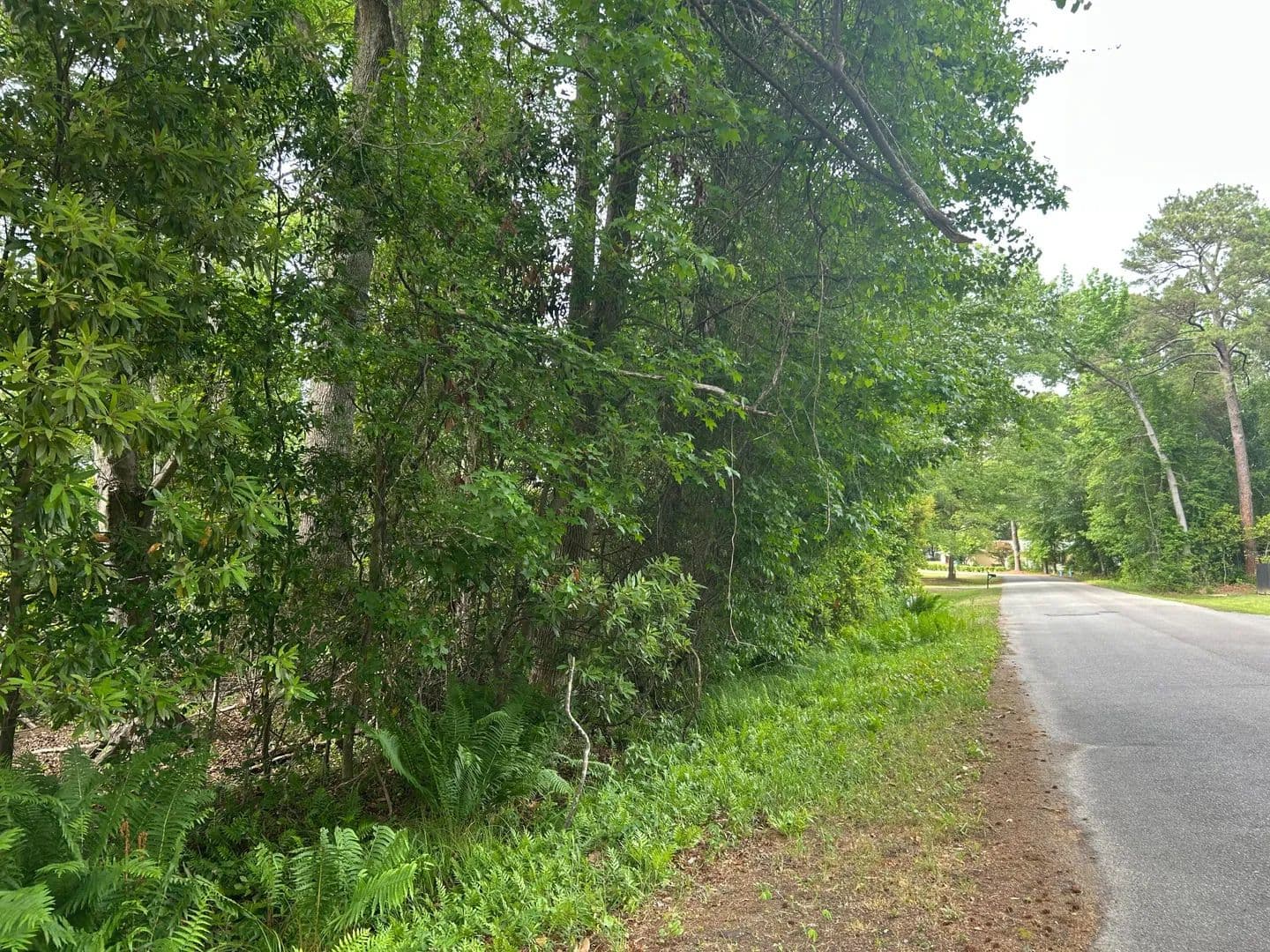 0.57 Acres of Land for Sale in Sumter, SC - Sumter, South Carolina, 29154