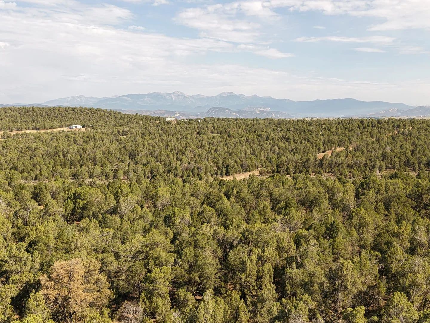 Jackrabbit Ranch - Ignacio, Colorado, 81137