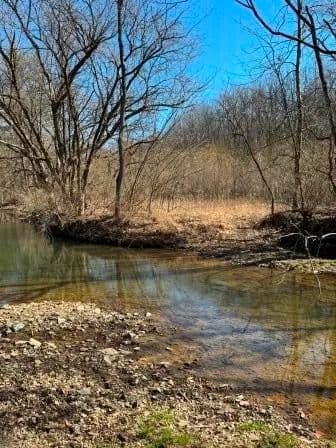 Property from 0 Brush Run Road - KW