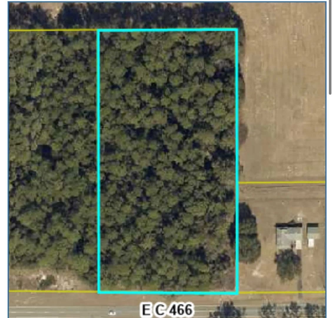 Land -Single Family Acreage in Oxford - Oxford, Florida, 34484