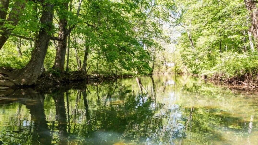Property from LOT 9 REBEL RIDGE DR - KW - New Castle, Virginia, 24127