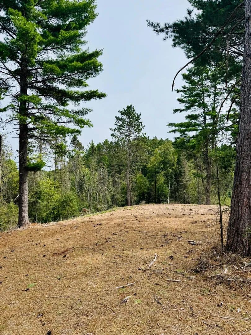 Vacant Land (0-10 Acres) in Land O Lakes - land for sale