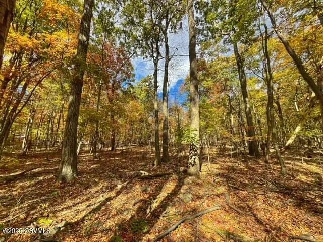 Property from 40 WOOD RIDGE Lane - KW - Northumberland, Pennsylvania, 17857