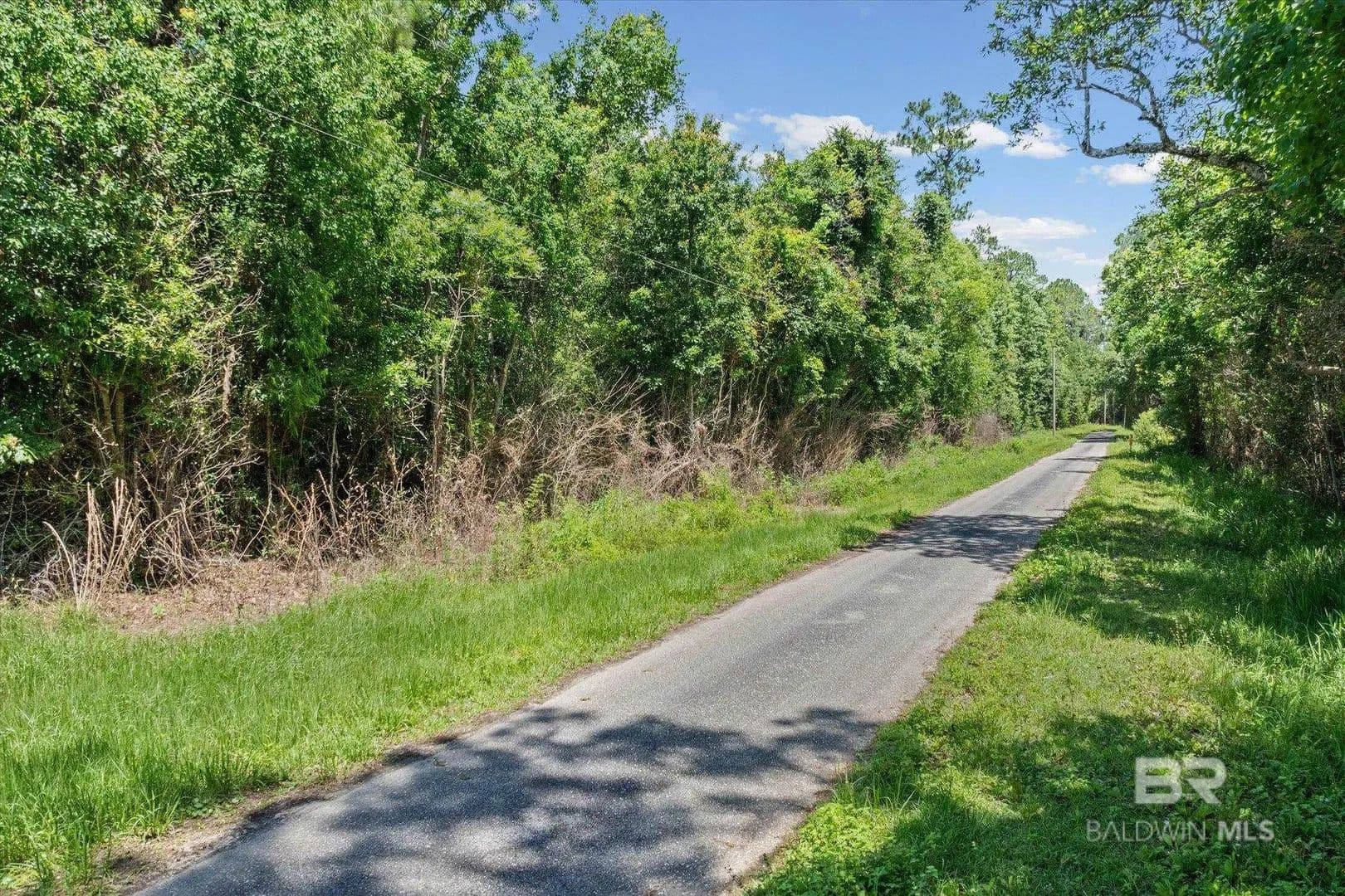 20.05 Acres of Land for Sale in Foley, Alabama - Foley, Alabama, 36535