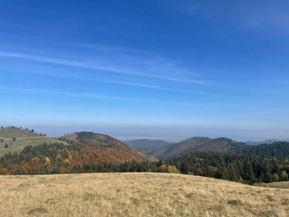 De vânzare teren în Păltiniș 40.000 EUR - land for sale