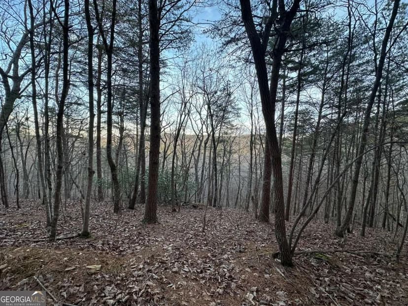 Property from 810 Bagwell Trail - KW