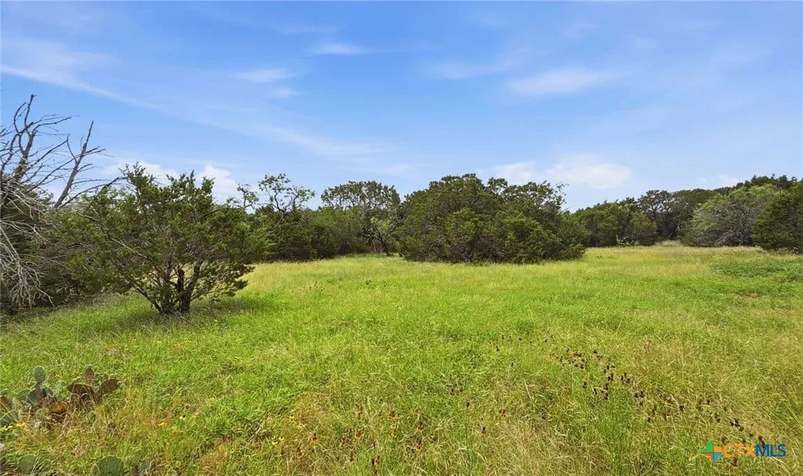 20.02 Acres of Land for Sale in Evant, Texas - Evant, Texas, 76525