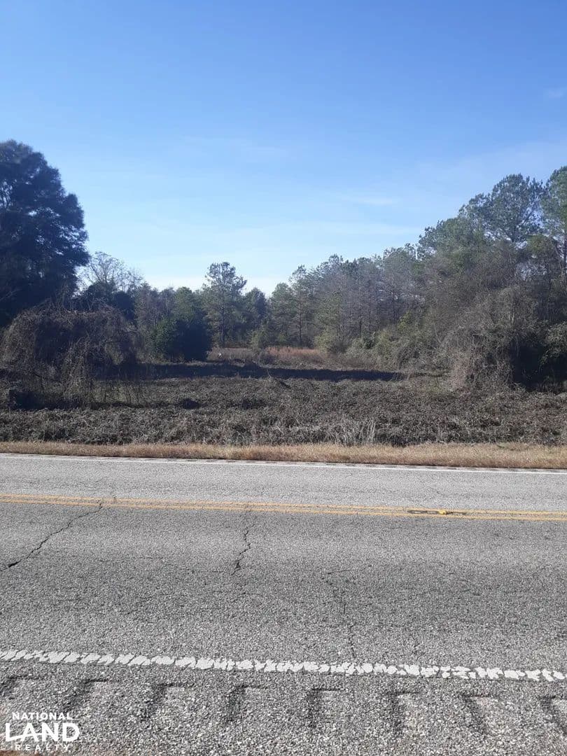 Brackin Mill Creek Tract - Daleville, Alabama, 36322