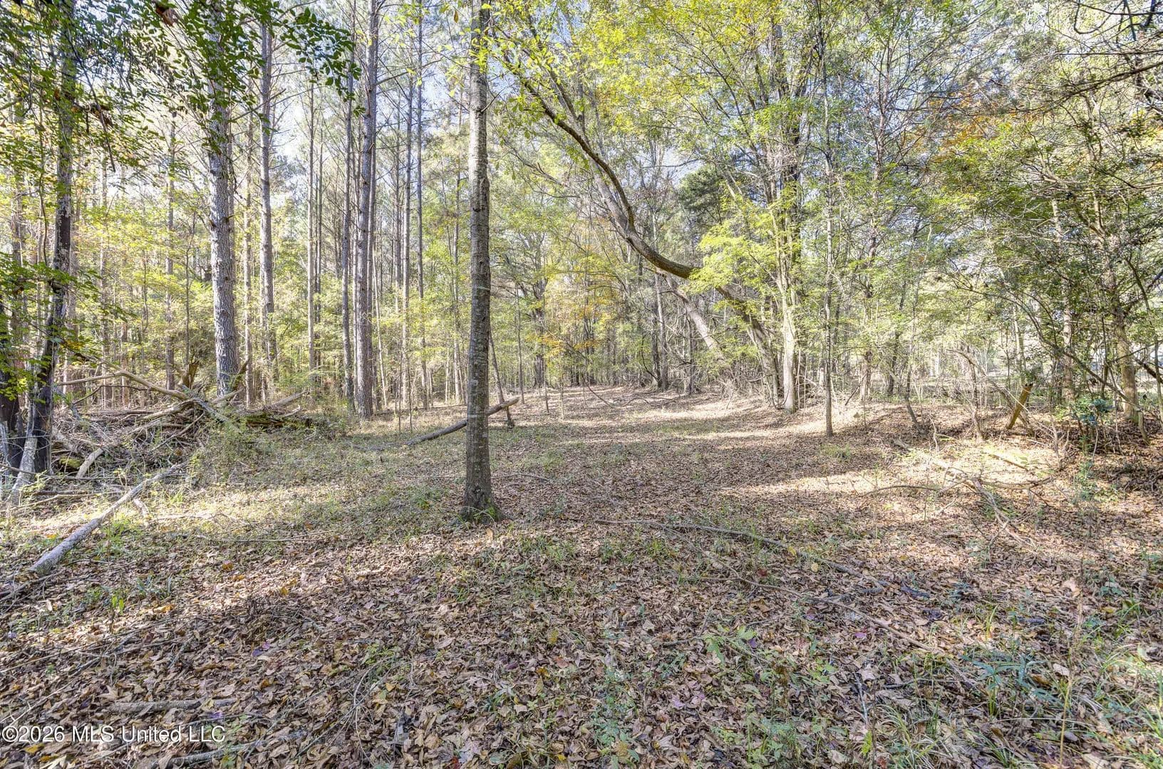 Property from Brenmar Street - KW - Brandon, Mississippi, 39042