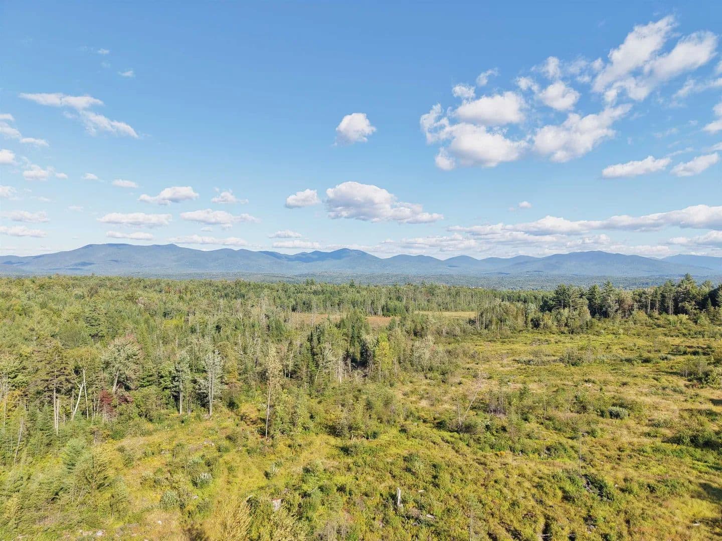 53 Acres of Land for Sale in Guildhall, VT - land for sale