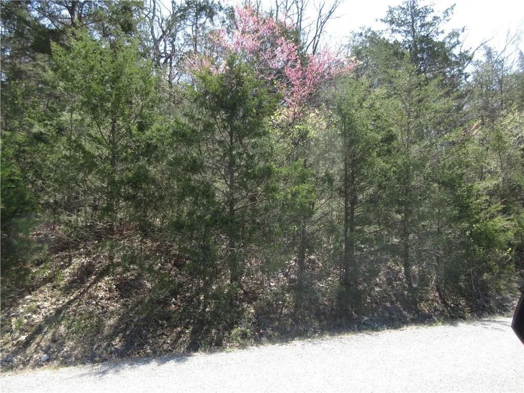 Property from Lot 6, Hillside Drive - KW - Holiday Island, Arkansas, 72631