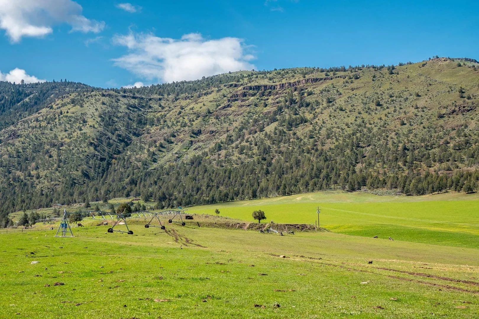 North Fork John Day River Farm - land for sale
