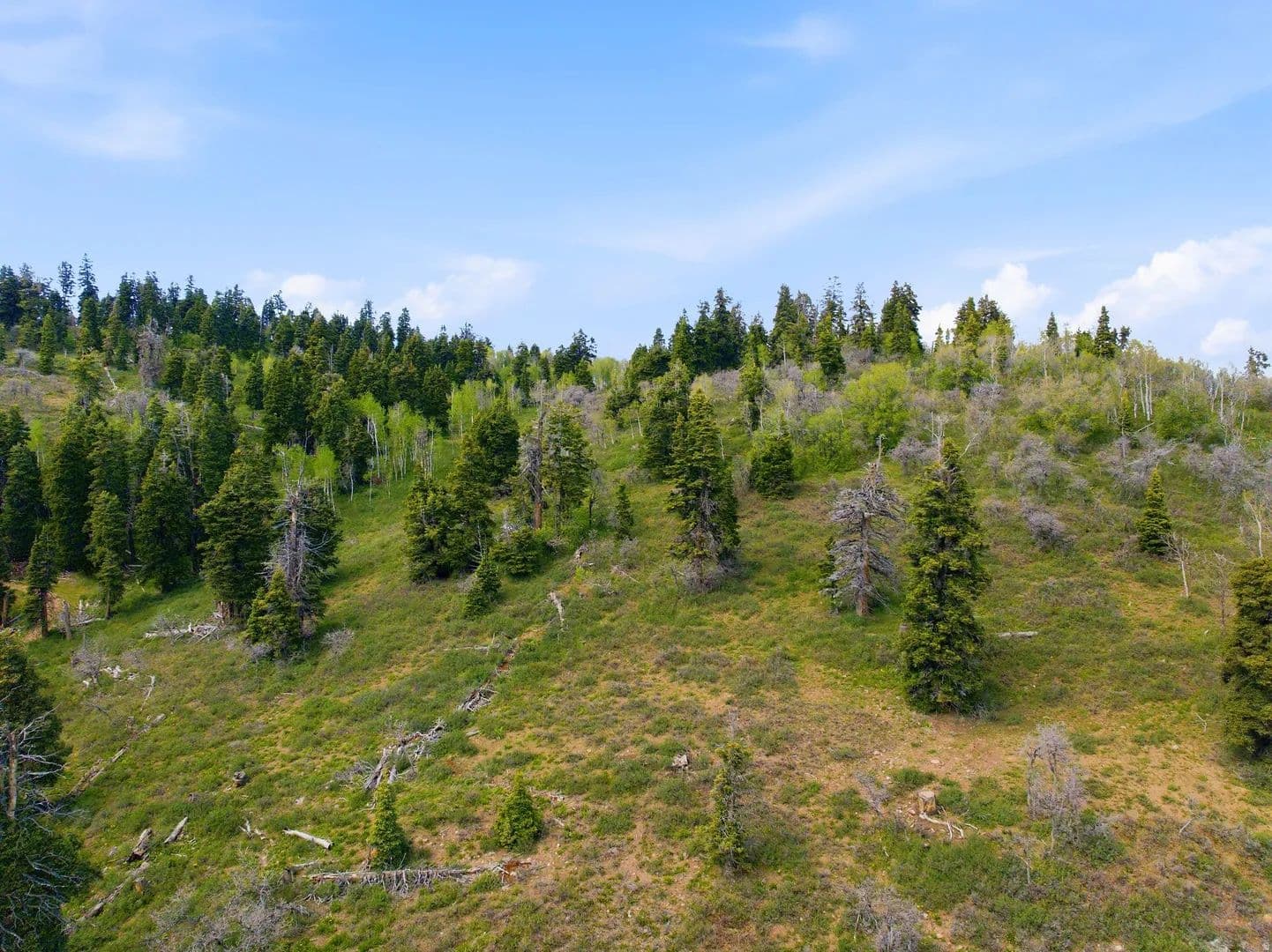 15.82 Acres of Land for Sale in Wanship, UT - Wanship, Utah, 84017