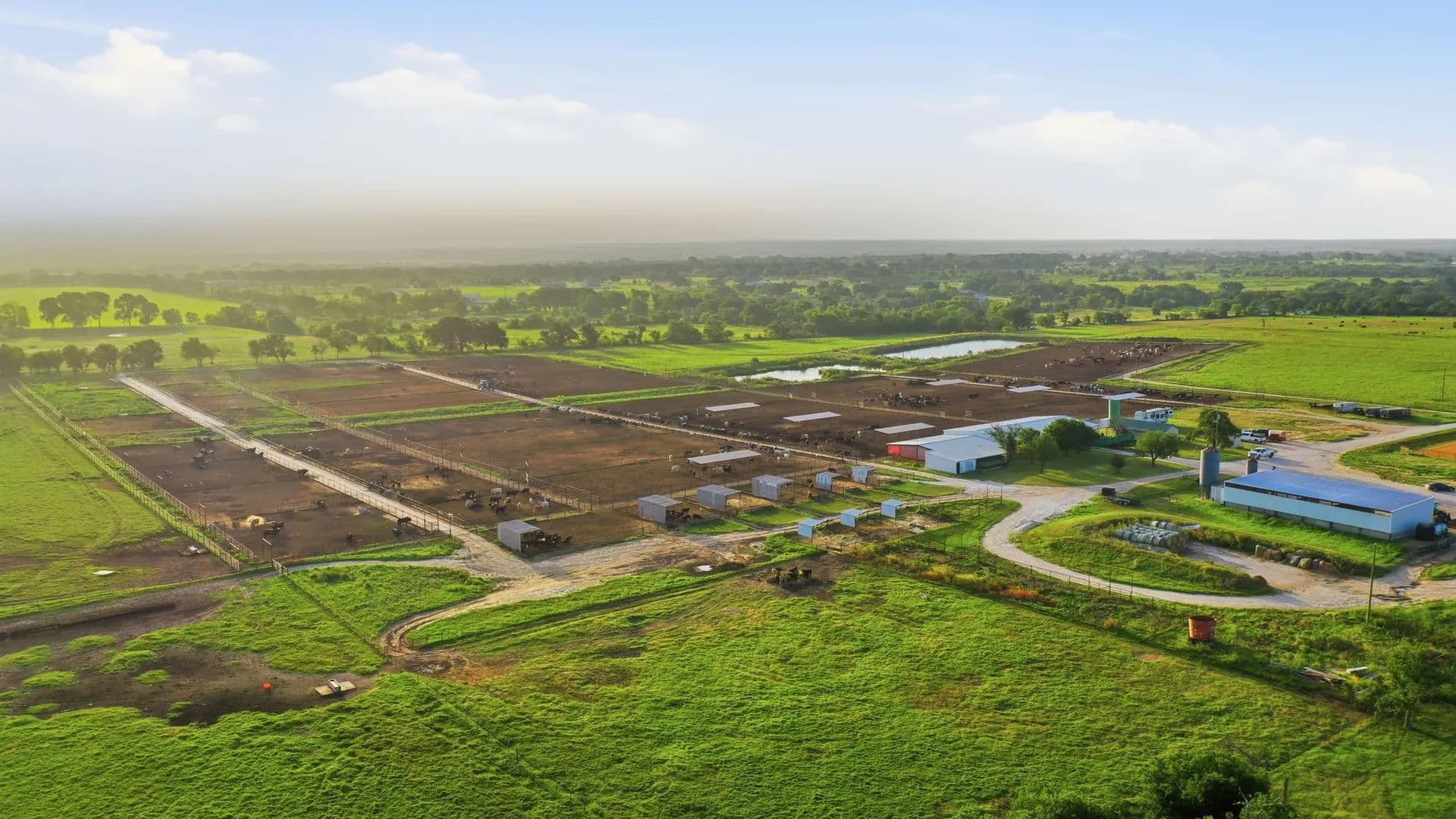 150.89 Acres of Land for Sale in Stephenville, TX - Stephenville, Texas, 76401