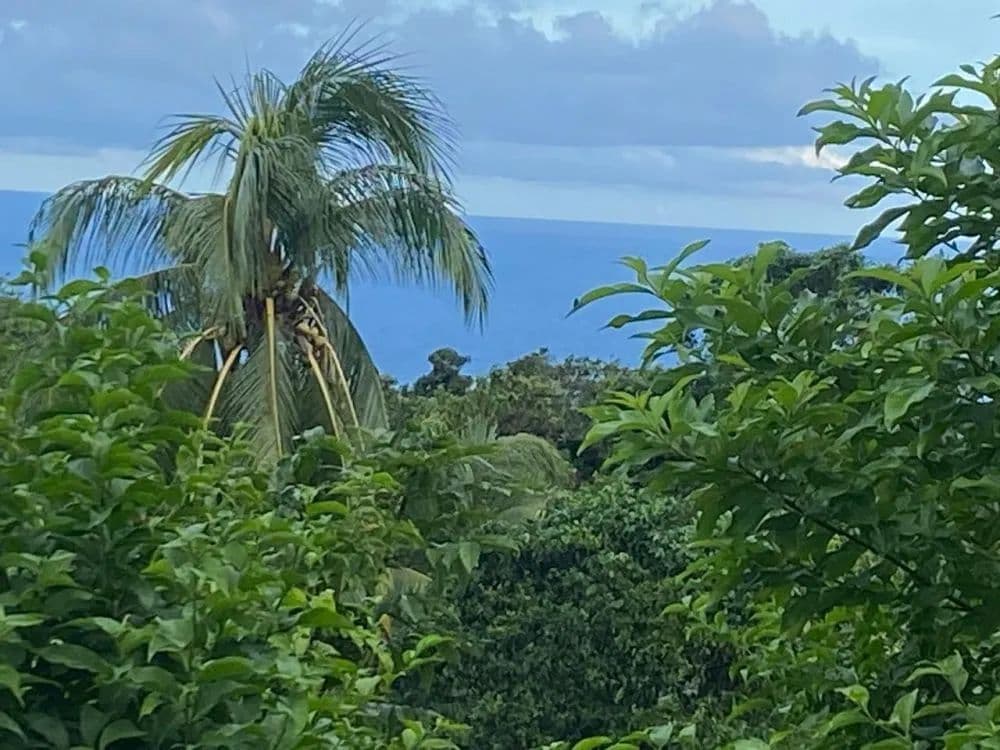 Vacant Land in St David - land for sale