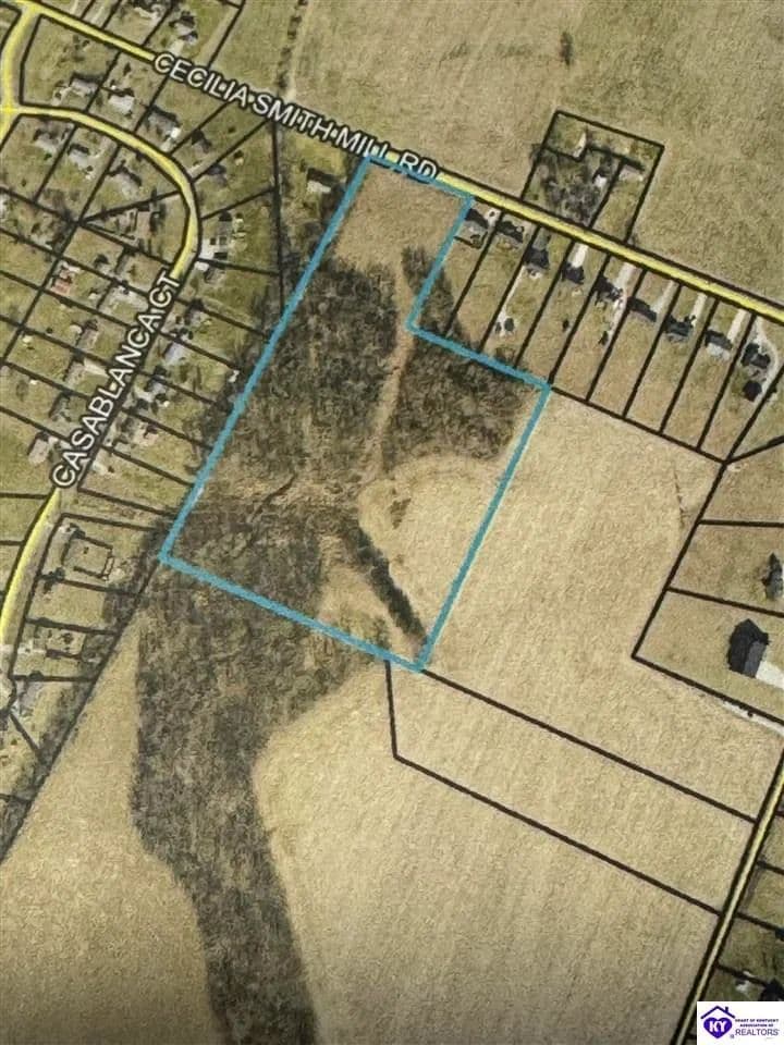 Property from Lot 1 Cecilia Smiths Mill Road - KW - Cecilia, Kentucky, 42724