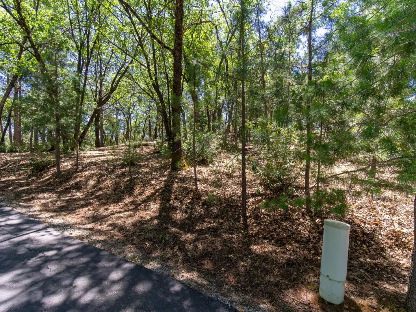 Property from 5030 Irish Oak Lane - KW - Placerville, California, 95667