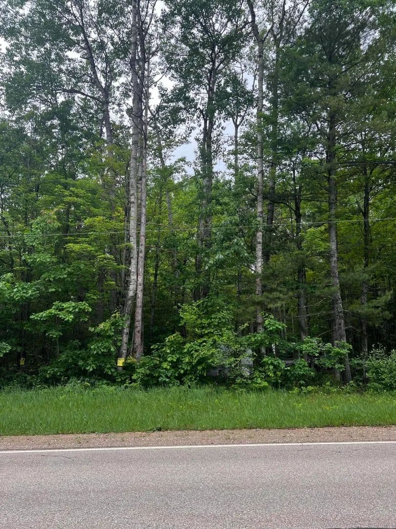 Land for Sale in Roscommon, Michigan - Roscommon, Michigan, 48653