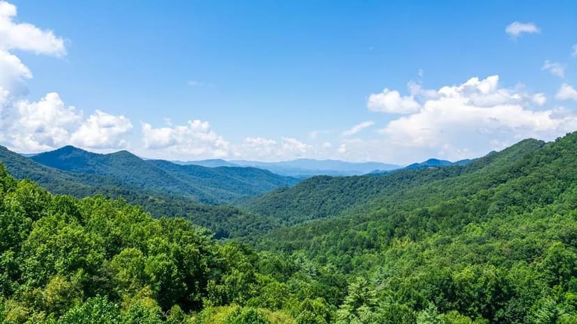 Property from 633 Log Cabin Ln - KW