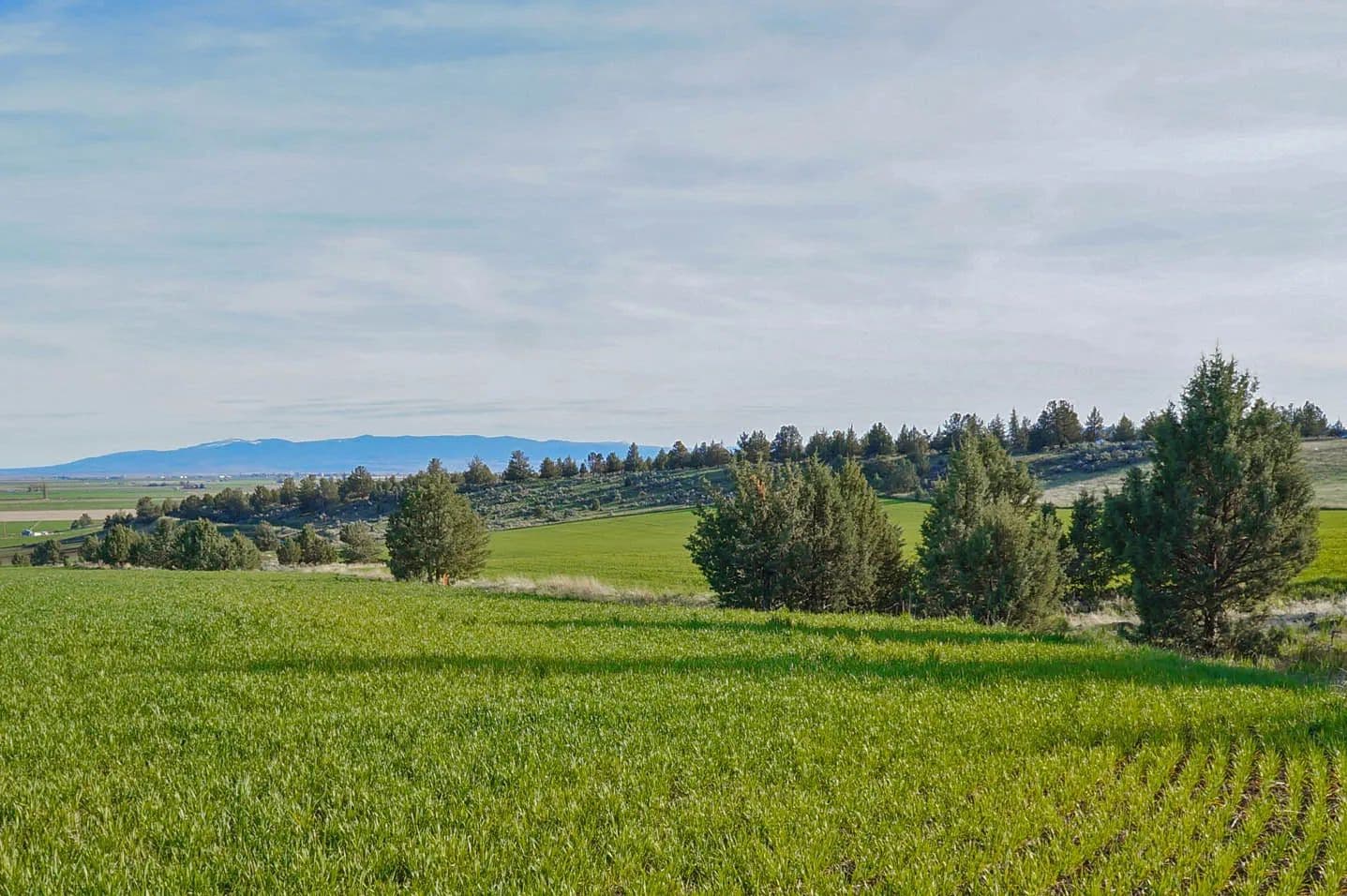 ORGANIC CROPLAND WITH POTENTIAL HOME SITE - Malin, Oregon, 97632
