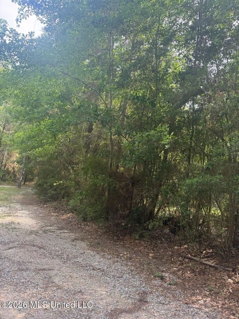Vacant Land in Pass Christian - Pass Christian, Mississippi, 39571