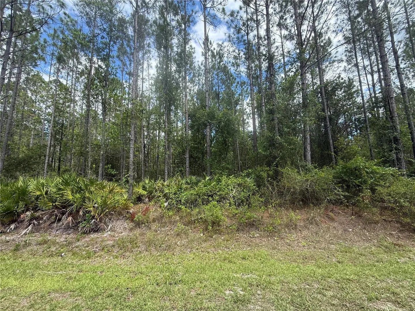 Property from SW 89TH STREET - KW - Lake Butler, Florida, 32054