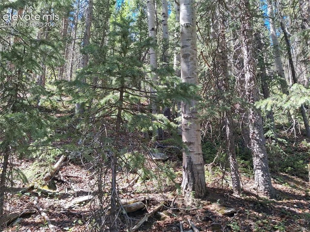Property from 2462 Anges Drive - KW - Cripple Creek, Colorado, 80813