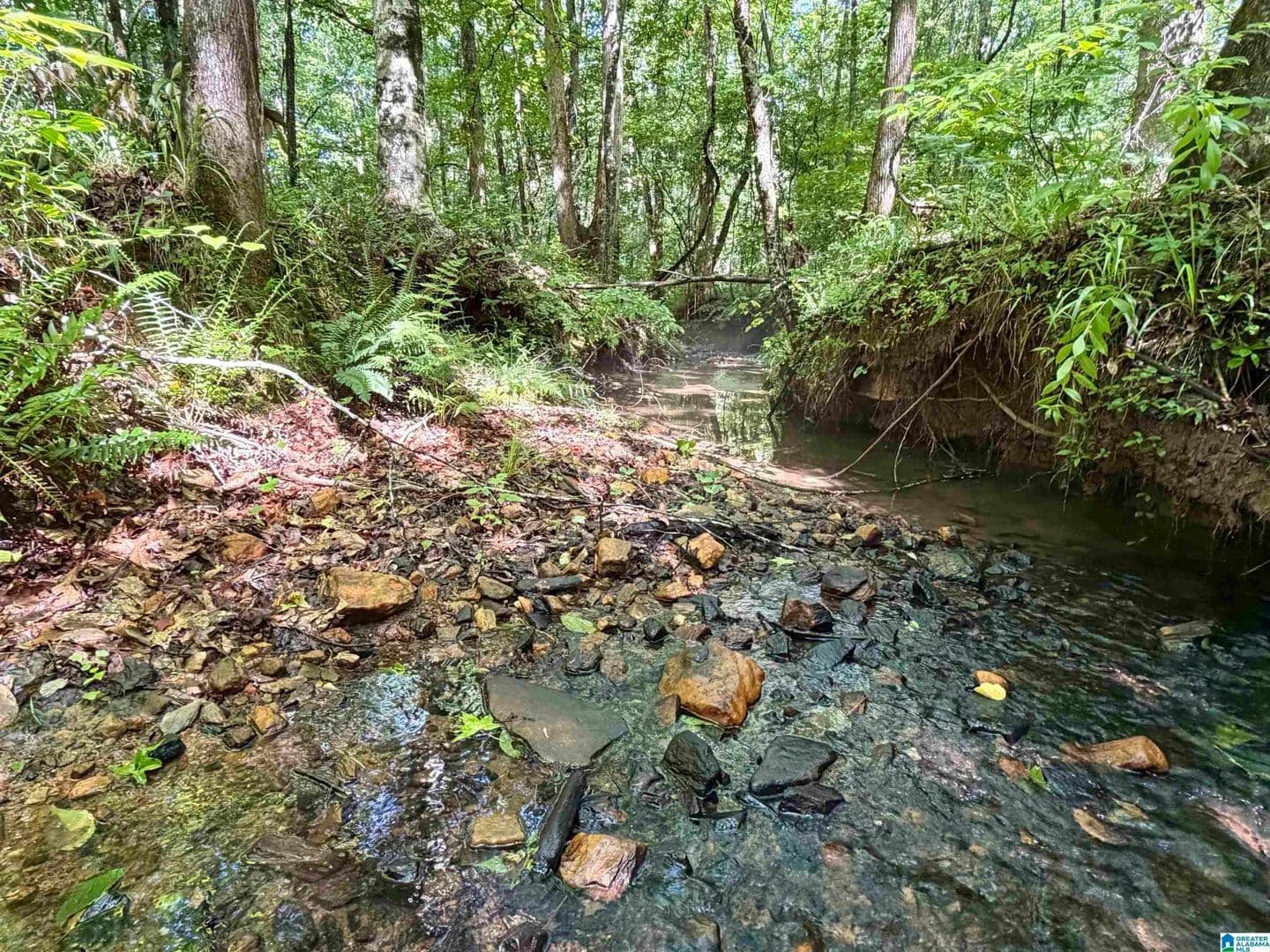120 Acres of Land for Sale in WADLEY, AL - land for sale