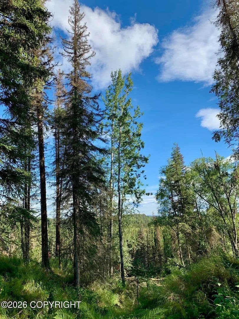 Property from 245 Nevada Street - KW - Kenai, Alaska, 99611