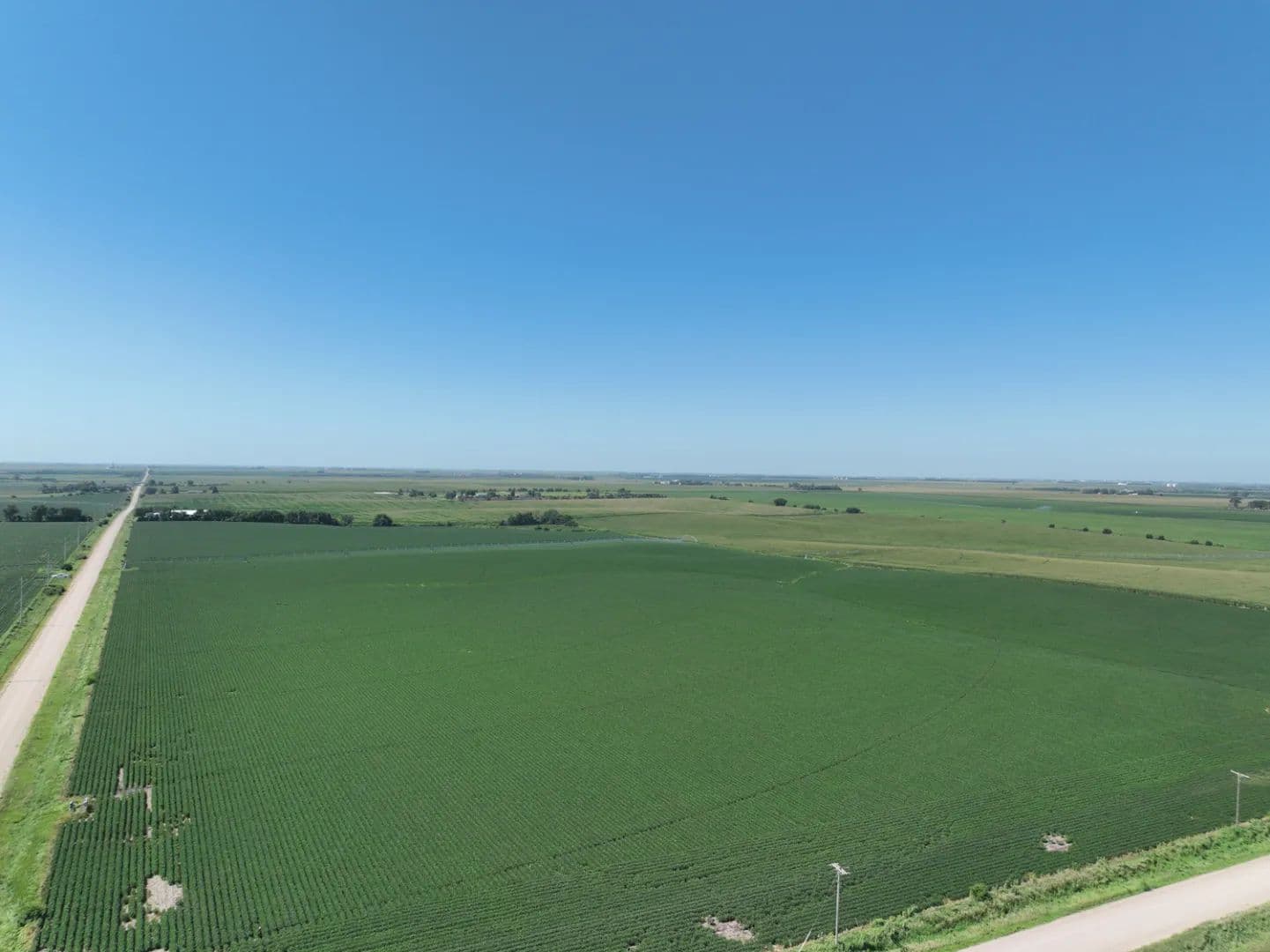 Irrigated Land for Sale | 79+/- Acres | Hamilton County, NE - land for sale