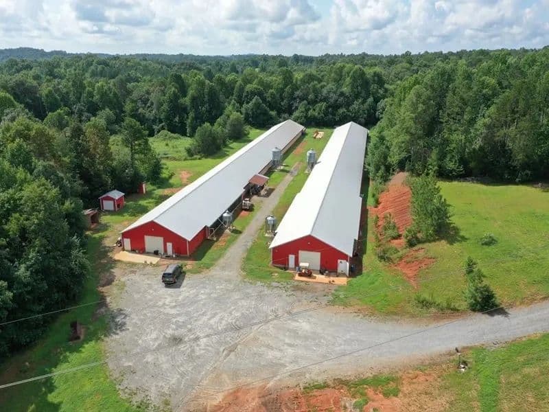 A&G Breeder Farm – Two House Farm in Rutherford County, North Carolina - Union Mills, North Carolina, 28167