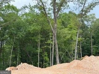 Lots & Land-Other in Molena - Molena, Georgia, 30258