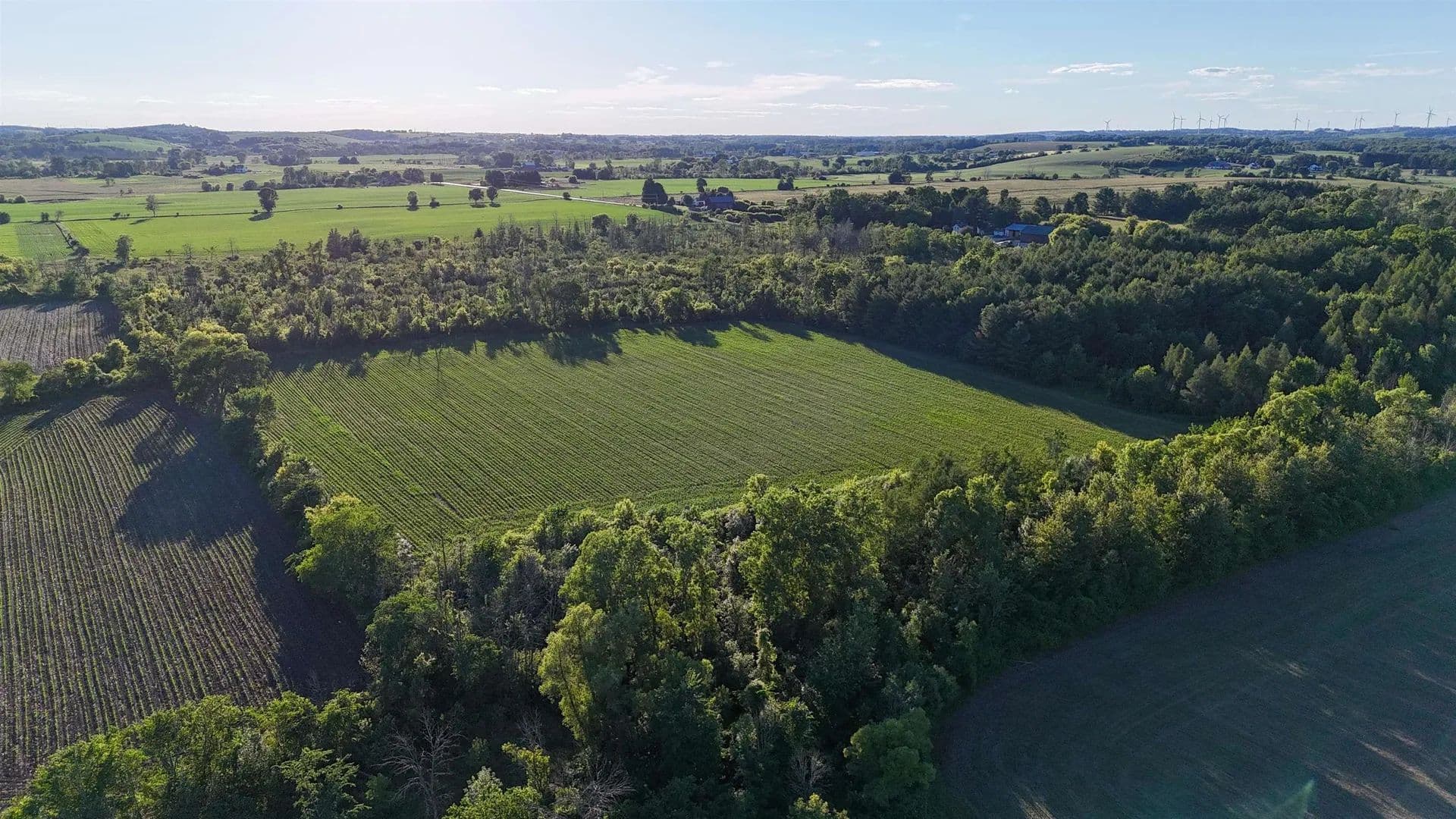 73.94 Acres of Land for Sale in Eden, WI - Eden, Wisconsin, 53010