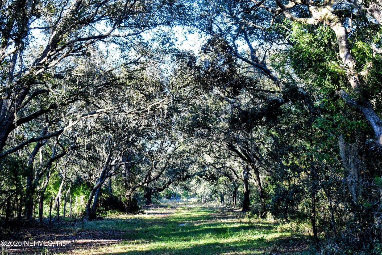 Lots & Land-Other in Interlachen - land for sale