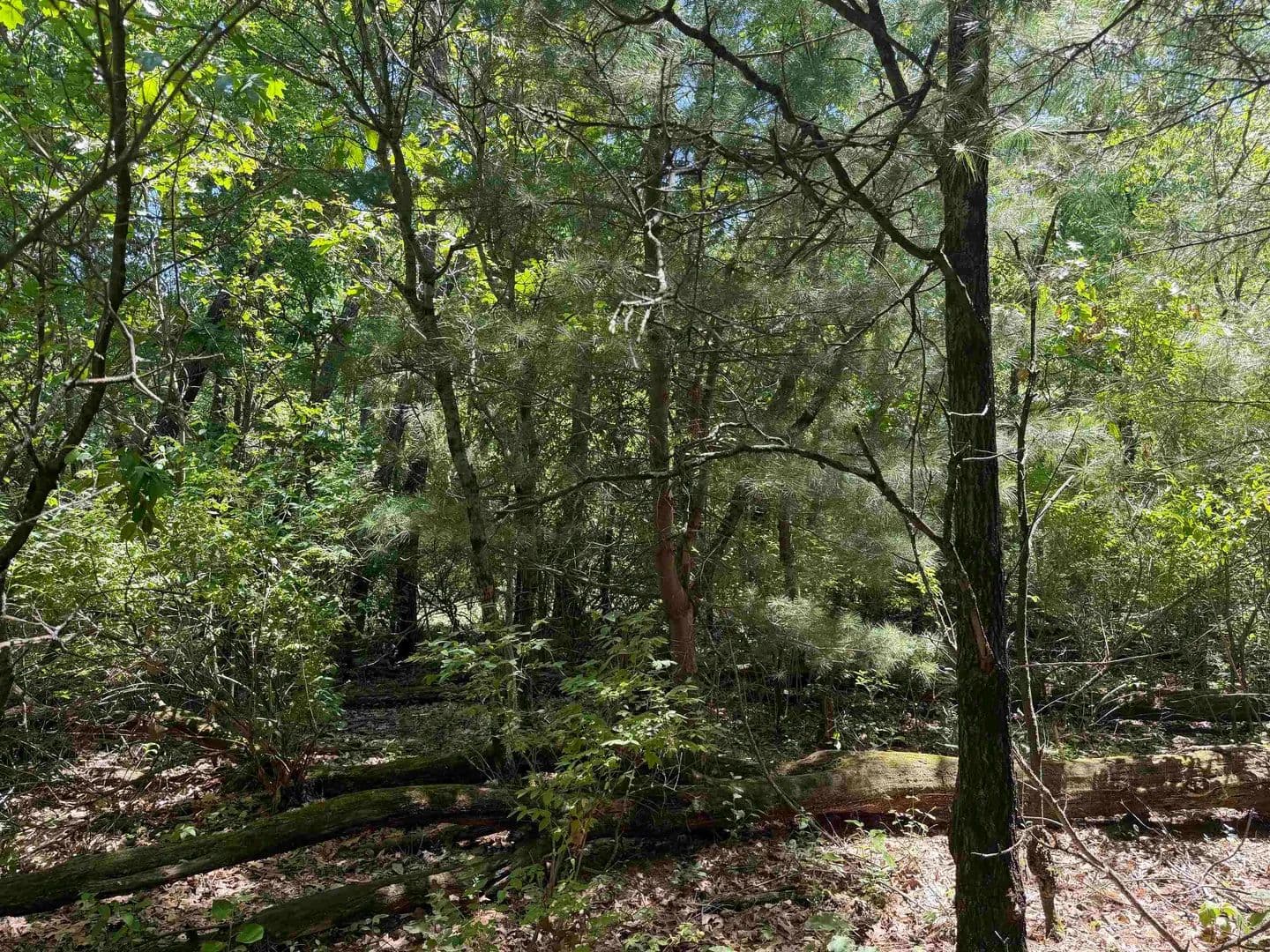 Property from 5+ Acre 8th Avenue - KW - , Wisconsin, 53965