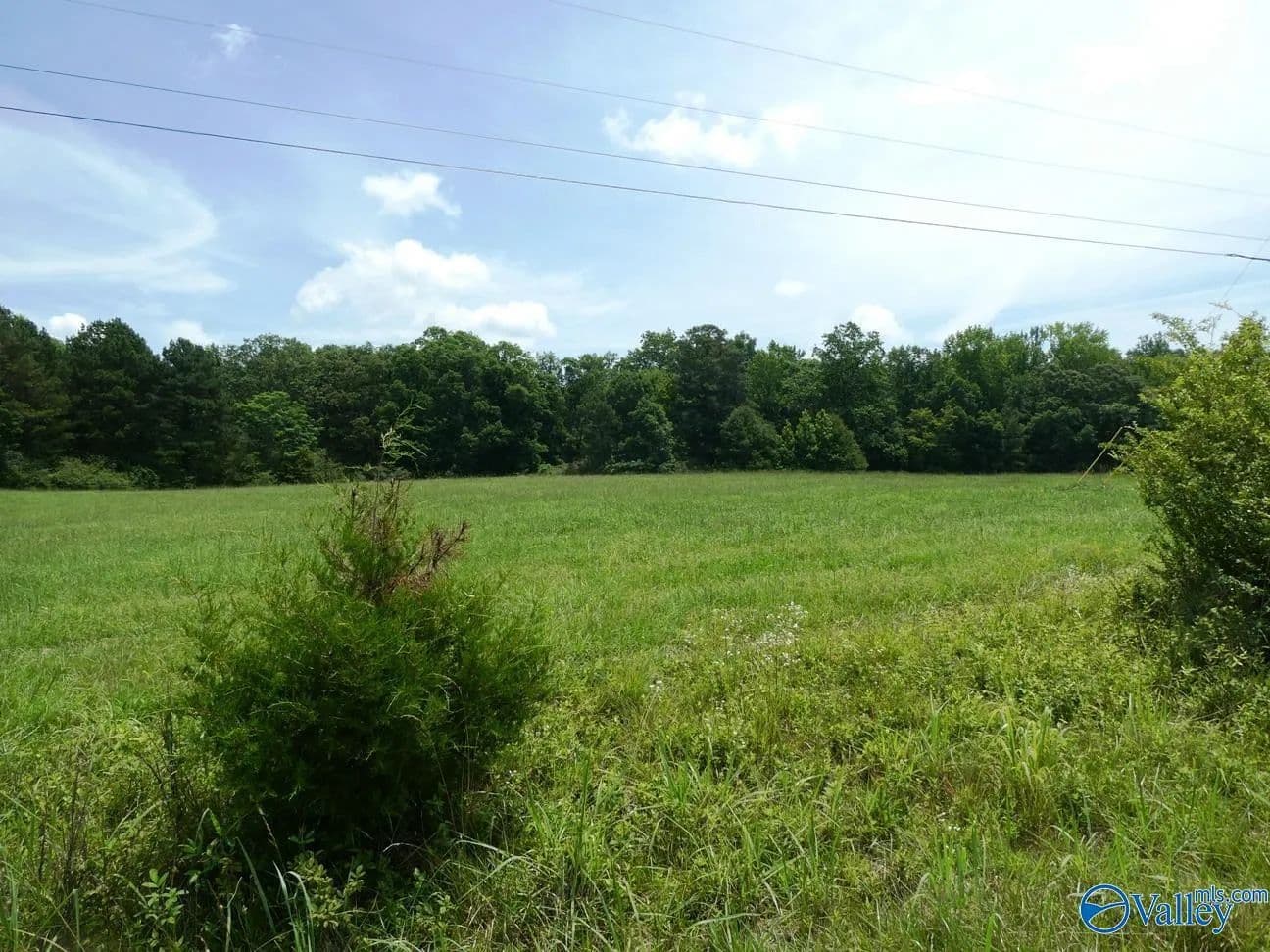 Property from 9.2 Ac County Road 4006 - KW - Crane Hill, Alabama, 35053