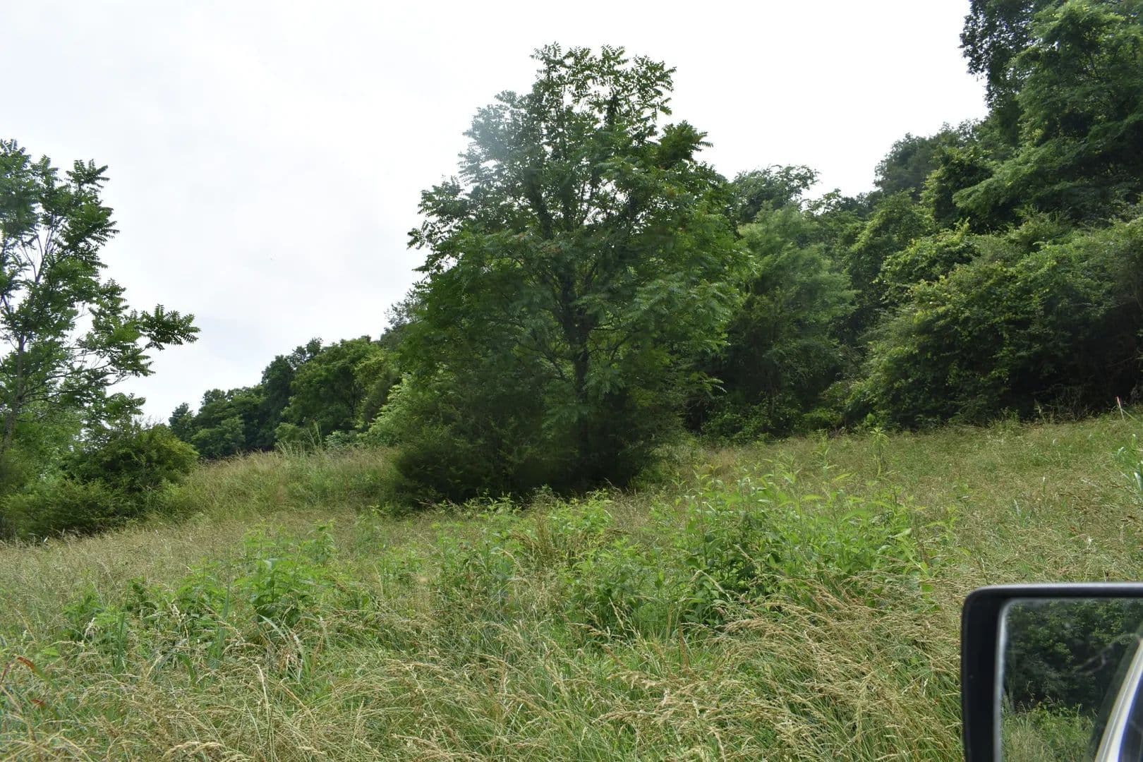 Property from 0 Pleasant Shade Hwy - KW - Pleasant Shade, Tennessee, 37145