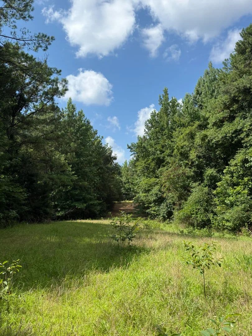 82 Acres in Montgomery County, MS - Kilmichael, Mississippi, 39747