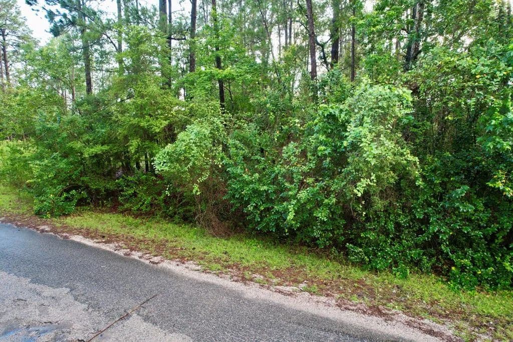 0.32 Acres of Land for Sale in Brookeland, Texas - Brookeland, Texas, 75931