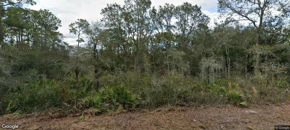 Property from 35023 PRIMROSE LANE - KW - Webster, Florida, 33597