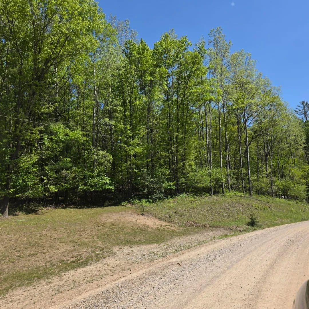 Lots & Land-Other in Evart - Evart, Michigan, 49631