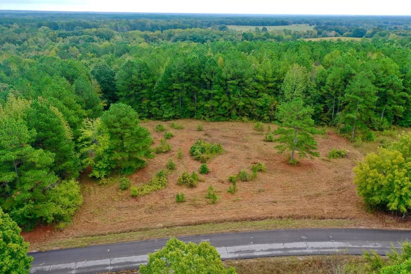 5 acre Homesite/Mini-Farm