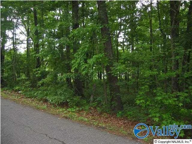 Property from 01 8th Avenue - KW - Arab, Alabama, 35016
