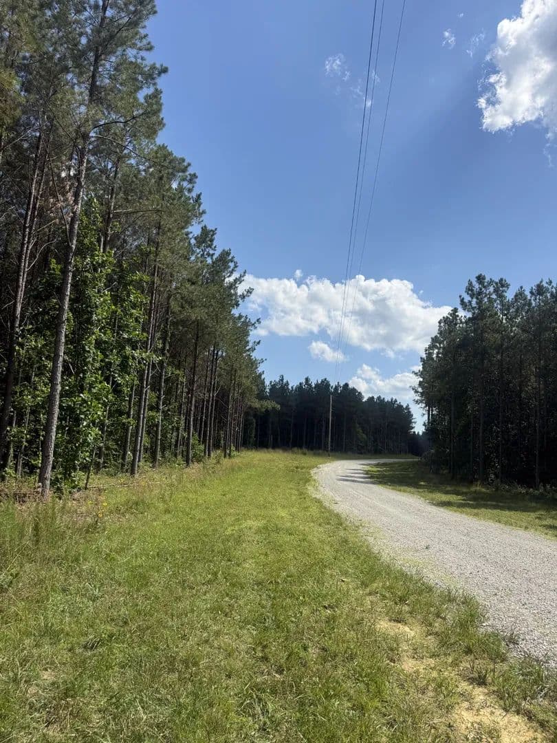 Property from 251 Fox Ridge Rd - KW - Hohenwald, Tennessee, 38462