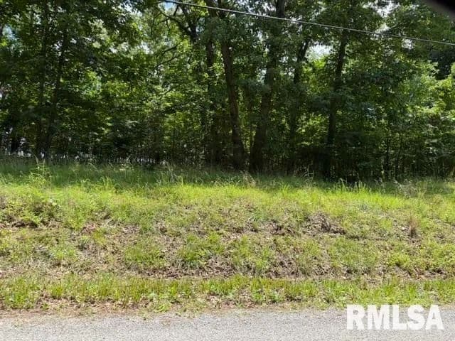 Property from 000 Wagon Creek Loop - KW - Creal Springs, Illinois, 62922